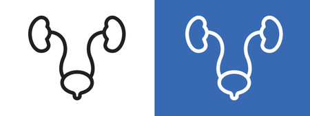 Urinary system icon logo sign vector outline in black and white colorのイラスト素材