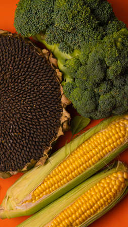 Beautiful sunflower tasty corn cobs are lying on the wooden table, rustic background, close-up, top...