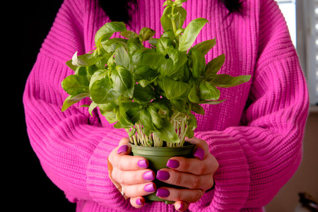 a bunch of organic fresh basil on a table with a wooden background