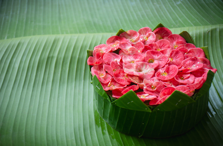 Krathong is made of natural materials, such as banana leaves and colorful flowers.の写真素材