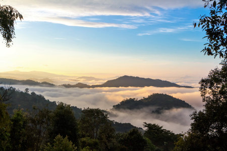 Beautiful landscape with mountains and mist in north of Thailandの写真素材