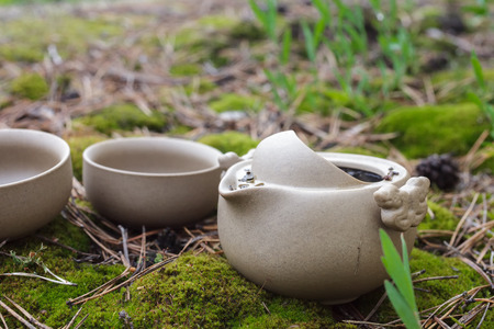 Tea set on the ground in the forest. Teapot and cups of Yixing clay.