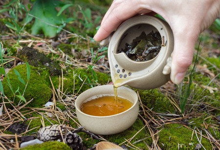 Tea set on the ground in the forest. Teapot and cups of Yixing clay.の写真素材