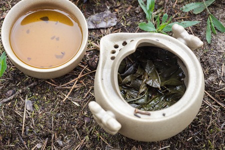 Tea set on the ground in the forest. Teapot and cups of Yixing clay.