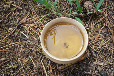 Tea set on the ground in the forest. Teapot and cups of Yixing clay.の写真素材