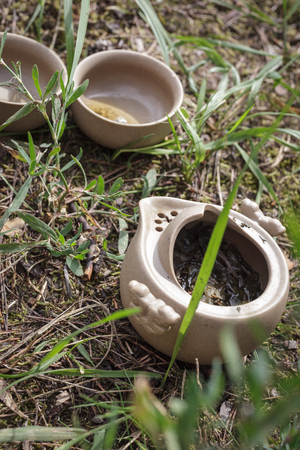 Tea set on the ground in the forest. Teapot and cups of Yixing clay.の写真素材