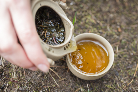Tea set on the ground in the forest. Teapot and cups of Yixing clay.の写真素材