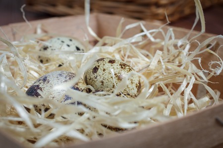 Quail eggs on of burlap cloth. On the table a rough cloth burlap and straw with a wooden boxの写真素材