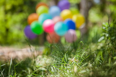 Blurred background.  Holiday balloons in the clearing. Summer sunny dayの写真素材