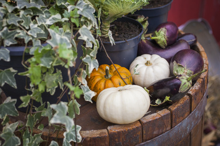 Fresh vegetables selling at the street shop, Cabbage, pumpkin and eggplant on a wooden barrelの写真素材