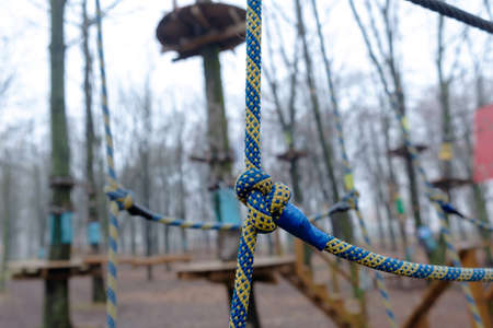 Rope park structures on trees. City park in Kyivの写真素材