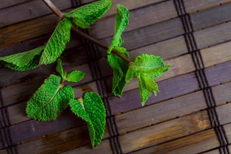 Leaves and sprigs of mint on a bamboo table close-upの写真素材