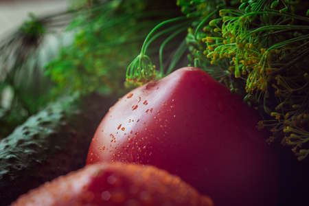 Fresh vegetables greens and dill for pickling vegetables close-up. Tomato, cucumberの写真素材