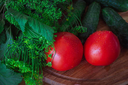 Fresh vegetables on a wooden table. Greens and dill for pickling vegetables. Tomatoes, cucumbers and garlicの写真素材
