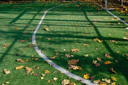 Autumn fallen leaves on the artificial turf of a football fieldの写真素材