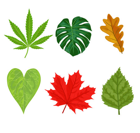 Autumn leaves. Yellow autumnal garden leaf, red fall leaf and fallen dry leaves. Botanical forest plants or september, october tree foliage. Flat isolated vector symbols setのイラスト素材