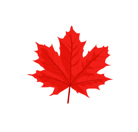 Maple leaves vector illustration. Autumn leaf leaves. Fall leaves mapleのイラスト素材