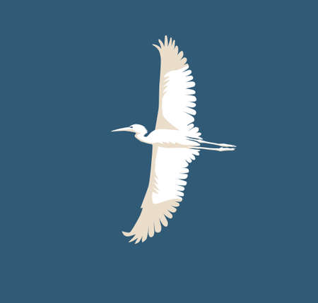 flying Heron and Stork Bird Silhouettes, art vector design illustrationのイラスト素材