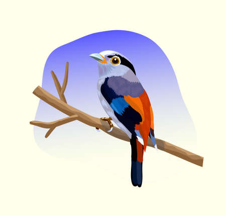 Illustration colorful beautiful bird sitting on branch vectorのイラスト素材