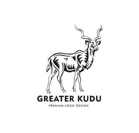 abstract of greater Kudu standing vector illustration on white backgroundのイラスト素材