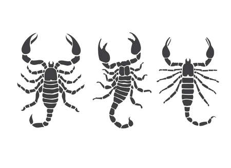 scorpion vector silhouette isolated on white backgroundのイラスト素材
