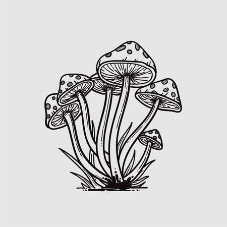 mushrooms hand drawn illustration Premium Vectorのイラスト素材