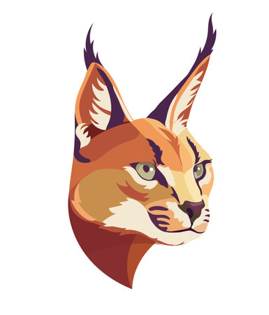 Caracal wild cat isolated vector illustration. Hand drawn color caracal sketch animal. isolated vector illustration. Hand drawn color caracal sketch animal.のイラスト素材