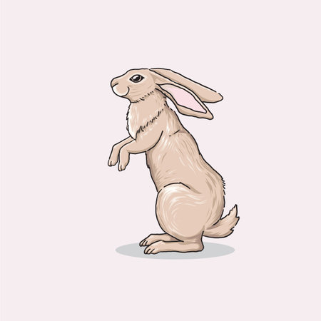 hand drawn standing Cute Rabbit Illustration, Hand drawn Style, isolated Vectorのイラスト素材