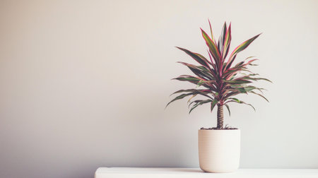 Houseplant in a white pot on a white shelf with a gray wallの素材