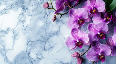 This stunning arrangement features elegant purple orchids on a beautiful marble surface. Ideal for home decor, floral inspirations, and stylish interiors, it conveys tranquility.の素材