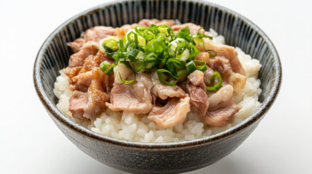 A visually appealing bowl of rice topped with tender slices of meat and garnished with fresh green onions, perfect for a satisfying meal experience.の素材
