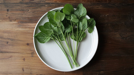 A stunning arrangement of fresh green leaves placed elegantly on a white plate, set against a rustic wooden surface. Perfect for health and culinary projects.の素材