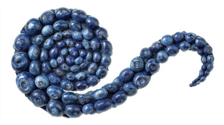 A stunning visual of blueberries arranged in a spiral, showcasing their rich blue color and natural beauty. Perfect for designs related to health and food themes.の素材