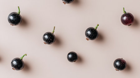 A visually appealing arrangement of fresh black currants on a soft beige background, perfect for food styling, culinary projects, or healthy lifestyle representations.の素材