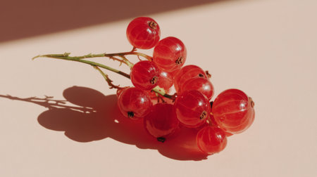 Delve into the beauty of fresh red currants showcasing their juicy texture and vibrant color on a soft light background, perfect for culinary inspiration.の素材