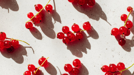 A stunning arrangement of fresh red currants on a light gray background, showcasing the berries' vibrant color and intricate shadows, ideal for food styling and culinary inspiration.の素材