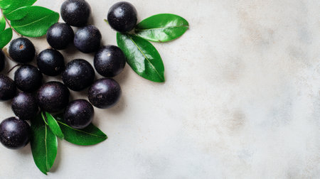 A stunning arrangement of fresh dark berries accompanied by lush green leaves on a light textured surface, ideal for promoting health and culinary creativity.の素材