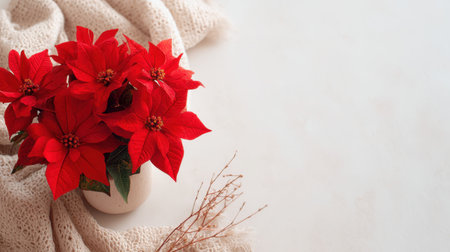 A beautiful arrangement of bright red poinsettia flowers in a simple pot resting on a textured white blanket. This image captures seasonal warmth and festive spirit.の素材