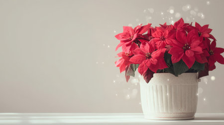 A charming arrangement of bright red poinsettia flowers in a white pot exudes festive spirit. The soft bokeh adds elegance and warmth for holiday decorating.の素材