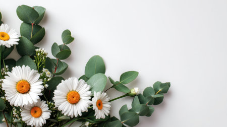 A beautiful arrangement of fresh white daisies and eucalyptus leaves against a light background, perfect for spring, floral design, or nature-themed projects.の素材