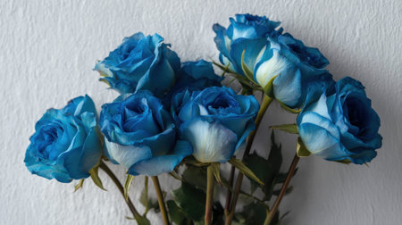 A stunning display of blue roses showcases their unique beauty and elegance. The soft petals and lush leaves create a perfect setting for floral arrangements or gifts.の素材