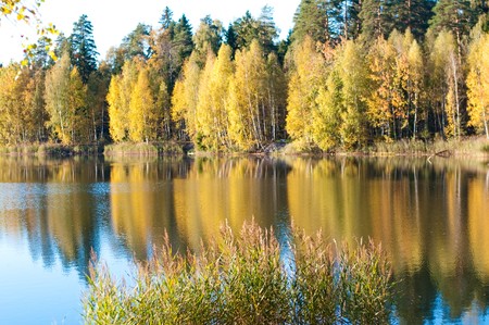 Autumn landscape in the forest lakeの写真素材