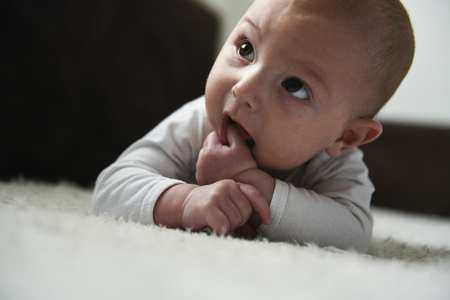 Portrait of adorable newborn baby boyの写真素材