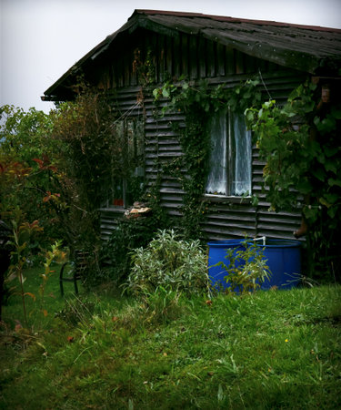 Rustic wooden shed, overgrown with ivy and wild greenery. Features a bright blue water barrel. Captures nature's reclamation, garden solitude, and rural life. Ideal for DIY, environment, and background themes.の写真素材