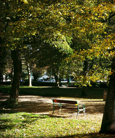 Atmospheric vertical shot of a lonely cast-iron and wooden bench in a sunny park in early autumn. Sunlight filters through the canopy, illuminating the green leaves. Ideal for themes of solitude, relaxation, seasons, mindfulness, and public spaces.の写真素材