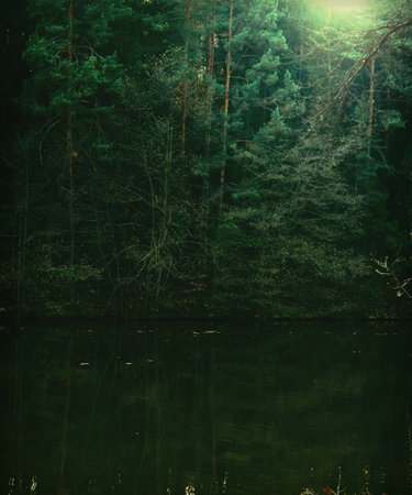 A mysterious vertical landscape of a dense, dark green forest meeting a still, murky lake. Sunlight breaks through the canopy, creating a lens flare and casting reflections on the water. Ideal for concepts of solitude, mystery, and deep nature.の写真素材