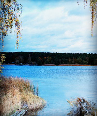 Vertical shot of a wide blue lake surrounded by a dark forest line and reeds, with a metal railing and hanging birch branches framing the top corners. The water surface is calm under a cloudy sky. Ideal for seasonal travel and nature backgrounds.の写真素材