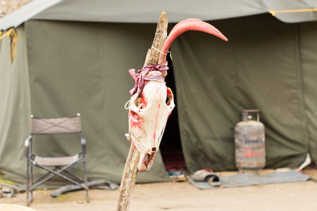 The skull of an animal on a stick in the camp scares off evil spiritsの写真素材