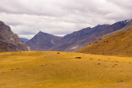Amazing yellow meadow high in the mountains of the Himalayas. Orange and teal tuning.の写真素材