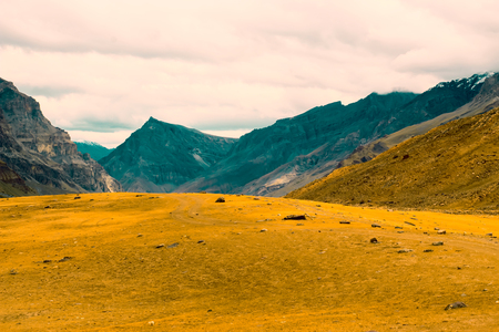 Beautiful yellow meadow high in the mountains of the Himalayas. Orange and turquoise tuning.の写真素材